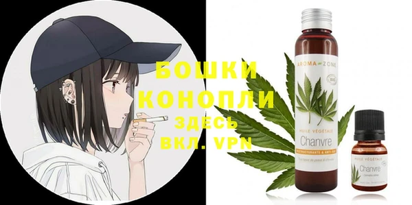 тгк Бородино