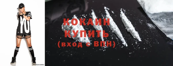 тгк Бородино