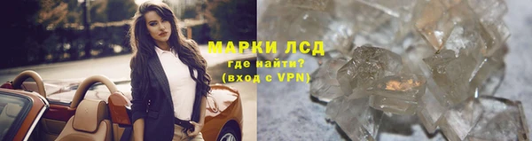 гашик Снежногорск