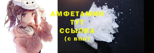 гашик Снежногорск