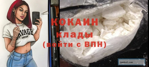 гашик Снежногорск
