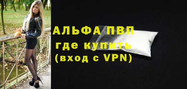 гашик Снежногорск